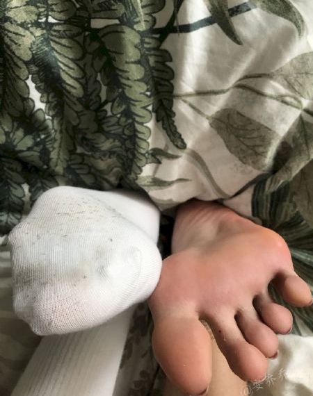 仙武传动漫免费观看