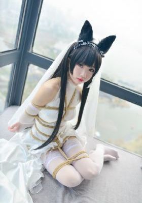 何以笙箫